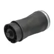 MAGNUM TECHNOLOGY MZB018MT - Ressort pneumatique, châssis arrière droit 