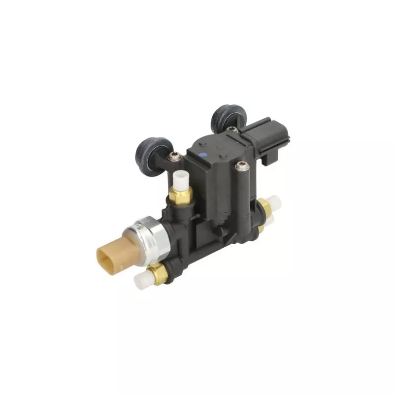 Valve, système d'air comprimé MAGNUM TECHNOLOGY ZRL001MT - Visuel 1