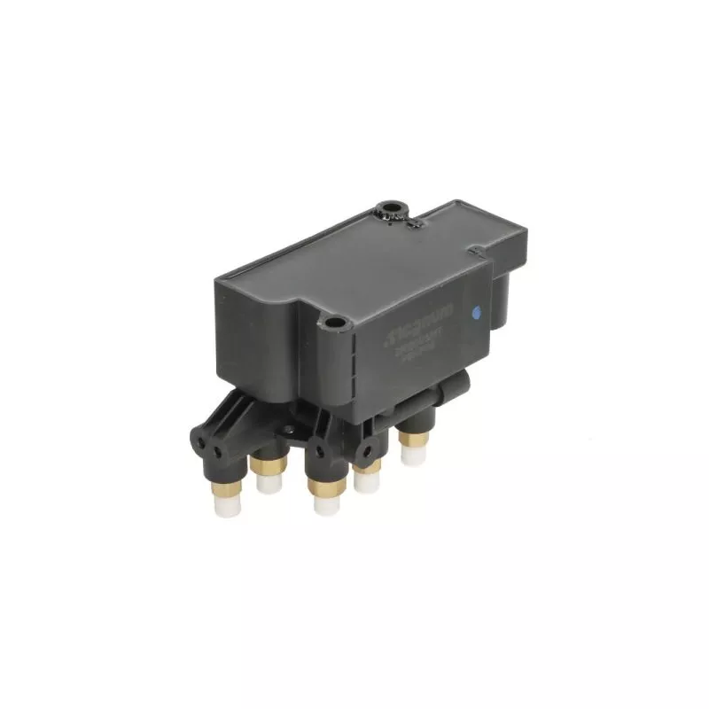 Valve, système d'air comprimé MAGNUM TECHNOLOGY ZRQ001MT - Visuel 1