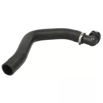 Durite de radiateur THERMOTEC DWD031TT pour VOLKSWAGEN SHARAN 2.0 16V TS - 150cv