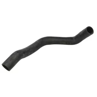 Durite de radiateur THERMOTEC OEM a2045012982