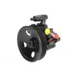 LAUBER 55.0981 - Pompe hydraulique, direction