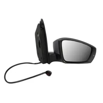 Rétroviseur extérieur BLIC 5402-01-1995315P