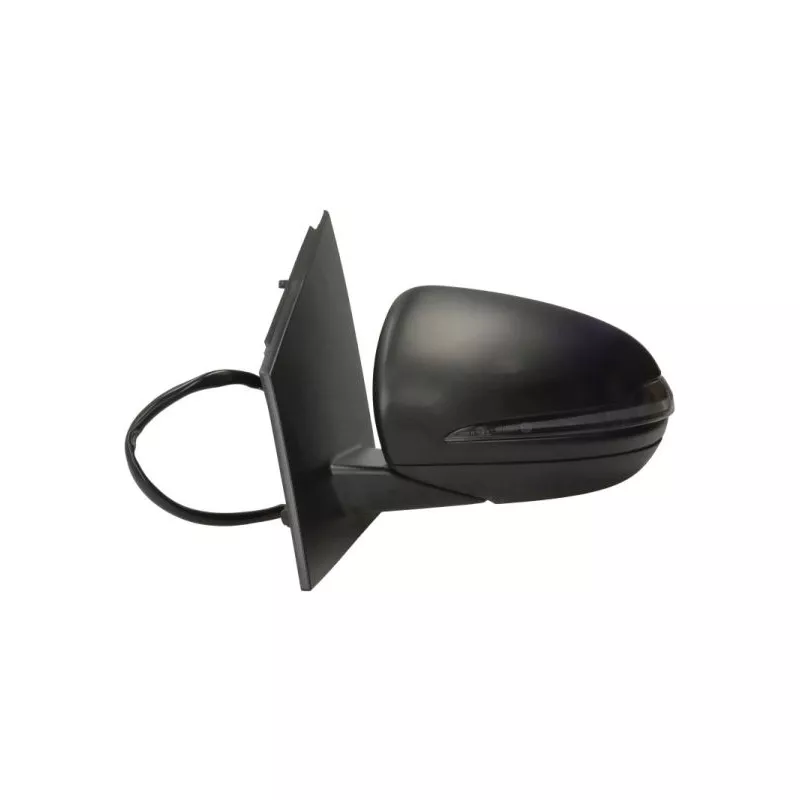 Rétroviseur extérieur BLIC 5402-02-2299310P - Visuel 1