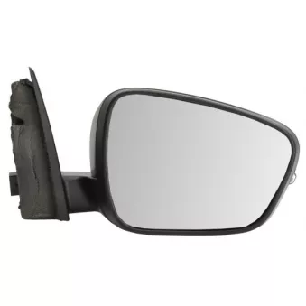 Rétroviseur extérieur BLIC 5402-03-2273319P