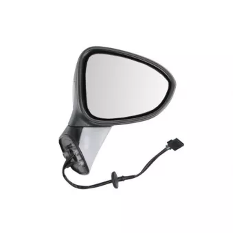 Rétroviseur extérieur BLIC OEM 1426495