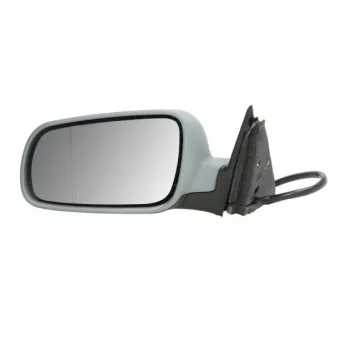 Rétroviseur extérieur BLIC OEM 3B0857537BGRU