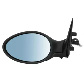Rétroviseur extérieur BLIC OEM 156017134