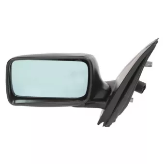 Rétroviseur extérieur BLIC OEM 60779164