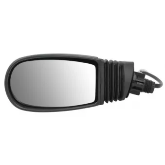 Rétroviseur extérieur BLIC OEM 0735277305