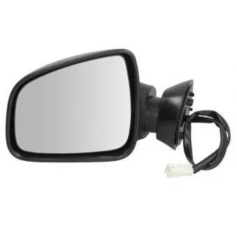 BLIC 5402-04-1125594P - Rétroviseur extérieur