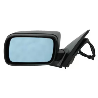 Rétroviseur extérieur BLIC OEM 51168238375