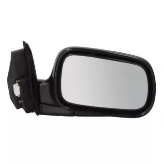 BLIC 5402-04-1128216P - Rétroviseur extérieur