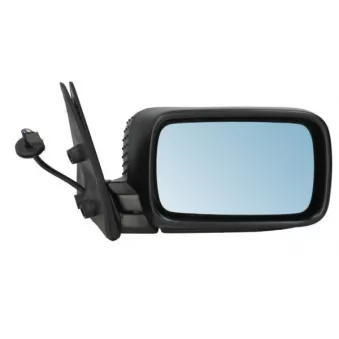 Rétroviseur extérieur BLIC OEM 51168144406