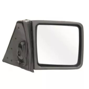 Rétroviseur extérieur BLIC OEM 1248100879
