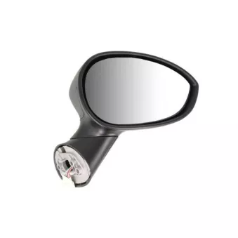 Rétroviseur extérieur BLIC OEM 735481646