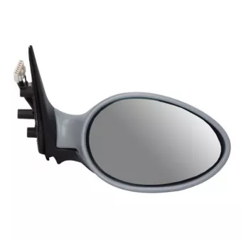 Rétroviseur extérieur BLIC OEM 0156017129