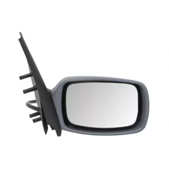 Rétroviseur extérieur BLIC OEM 1015323
