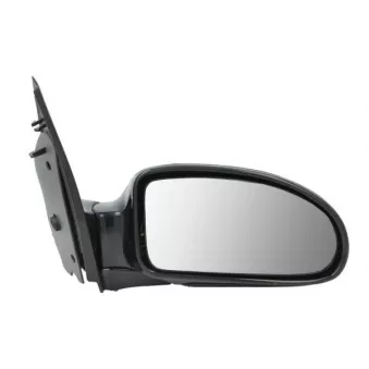 Rétroviseur extérieur BLIC OEM 1060598