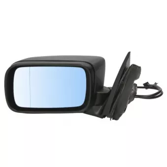 Rétroviseur extérieur BLIC OEM 51168250438