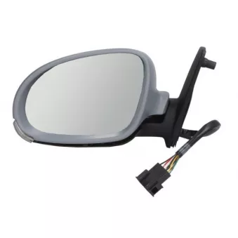 Rétroviseur extérieur BLIC OEM 1K0857521