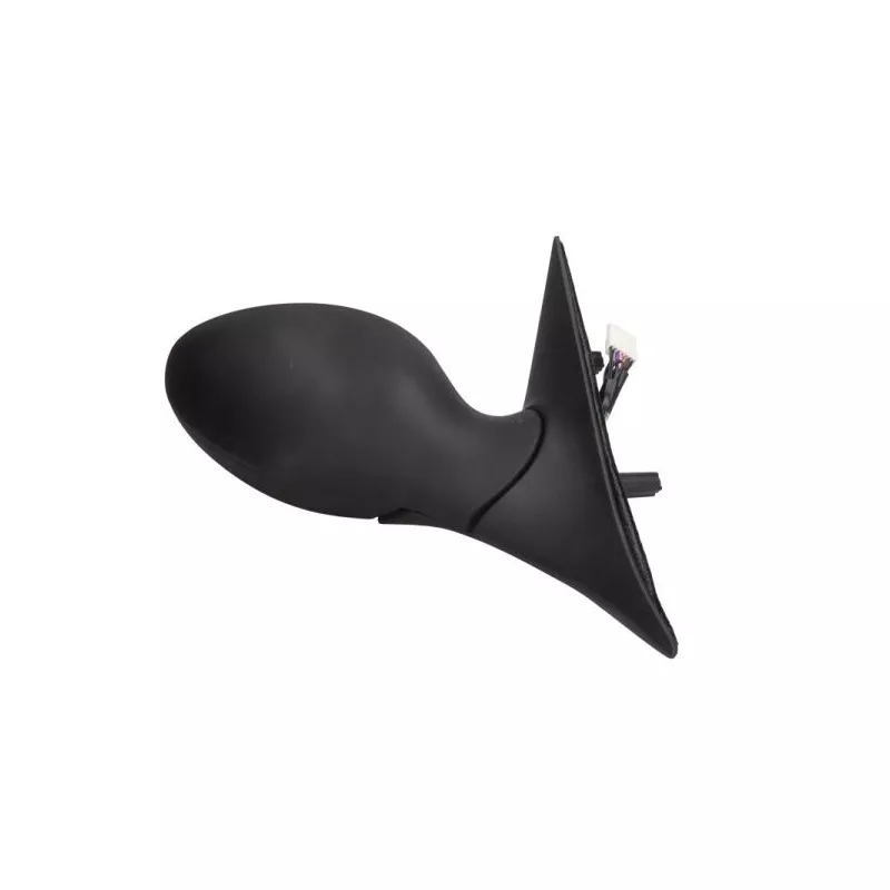 Rétroviseur extérieur BLIC 5402-04-1131273P - Visuel 1