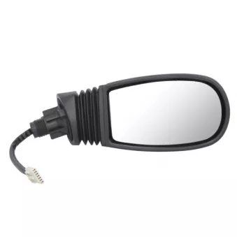Rétroviseur extérieur BLIC 5402-04-1131329P pour FIAT PUNTO 1.9 JTD 80 - 80cv