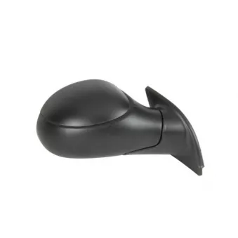 BLIC 5402-04-1131851P - Rétroviseur extérieur