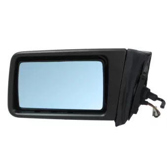 Rétroviseur extérieur BLIC OEM A1248100779
