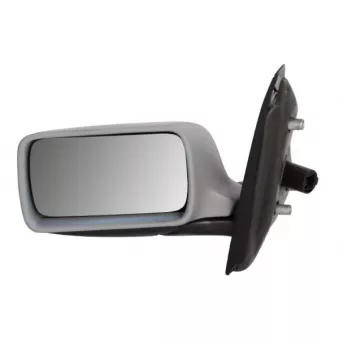 Rétroviseur extérieur BLIC OEM 60779164