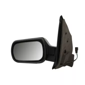 Rétroviseur extérieur BLIC OEM 1060610