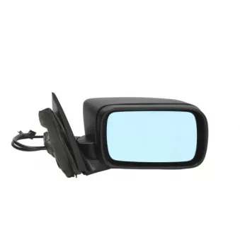 Rétroviseur extérieur BLIC OEM 51168250438