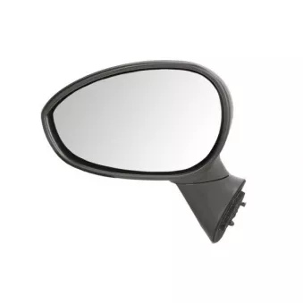 Rétroviseur extérieur BLIC OEM 735452179