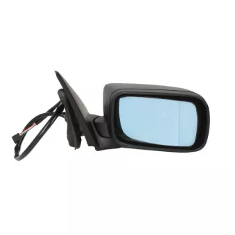 Rétroviseur extérieur BLIC OEM 51168245128