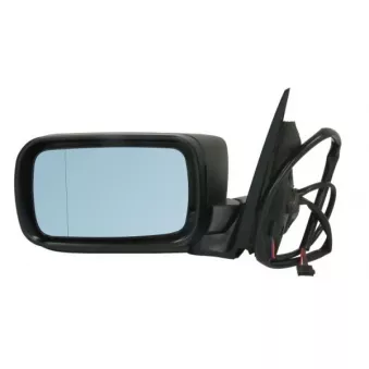 Rétroviseur extérieur BLIC OEM 51168250438
