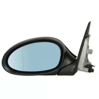 Rétroviseur extérieur BLIC OEM 51167145267