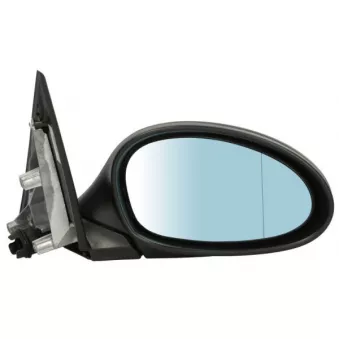 Rétroviseur extérieur BLIC OEM 51167145268