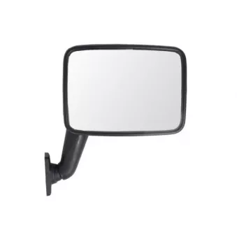 Rétroviseur extérieur BLIC OEM 251857514A
