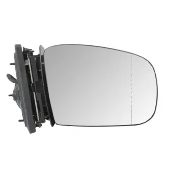 BLIC 5402-04-1321510P - Rétroviseur extérieur