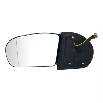 Rétroviseur extérieur BLIC OEM 2038105776