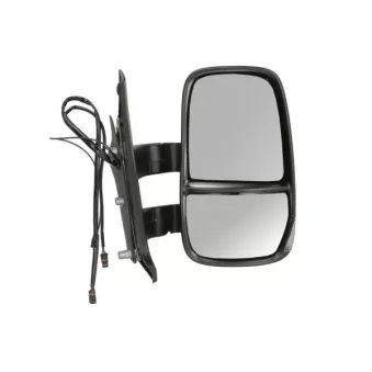 Rétroviseur extérieur BLIC OEM 3801927