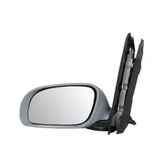 Rétroviseur extérieur BLIC OEM 1T1857507M9B9