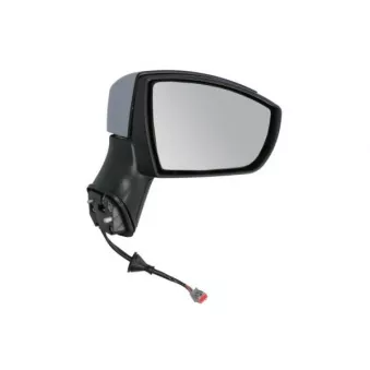 Rétroviseur extérieur BLIC OEM 1543273