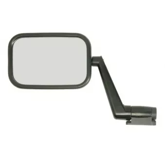 BLIC 5402-04-9992925P - Rétroviseur extérieur