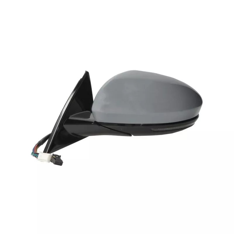 Rétroviseur extérieur BLIC 5402-09-1243318P - Visuel 1