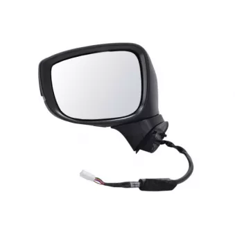 Rétroviseur extérieur BLIC 5402-14-1906310P