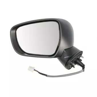 Rétroviseur extérieur BLIC 5402-18-2002310P