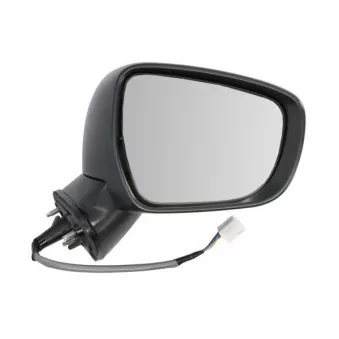 Rétroviseur extérieur BLIC 5402-18-2002311P