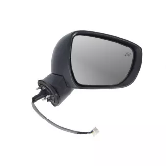 Rétroviseur extérieur BLIC 5402-18-2002313P