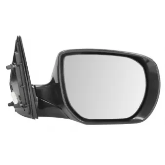 Rétroviseur extérieur BLIC 5402-20-0556313P